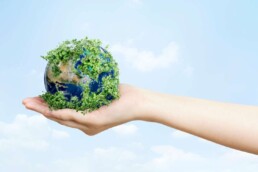 3M Sustentabilidade Quatro ótimas (e simples) ideias para empresas e pessoas cuidarem do planeta